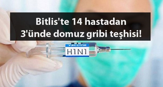 Bitlis'te 14 hastadan 3'ünde domuz gribi teşhisi!