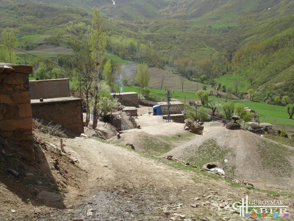 Yemişveren (balekan)