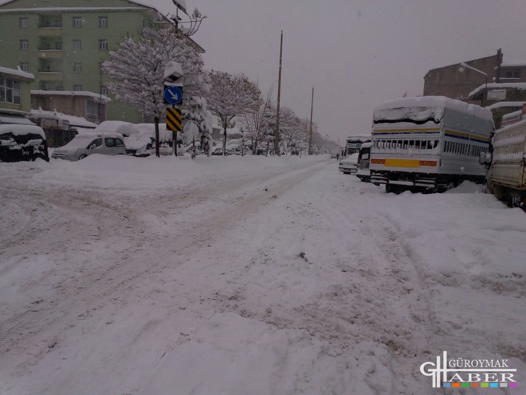 Güroymak'ta yoğun kar yağışı hayatı olumsuz yönde etkiliyor