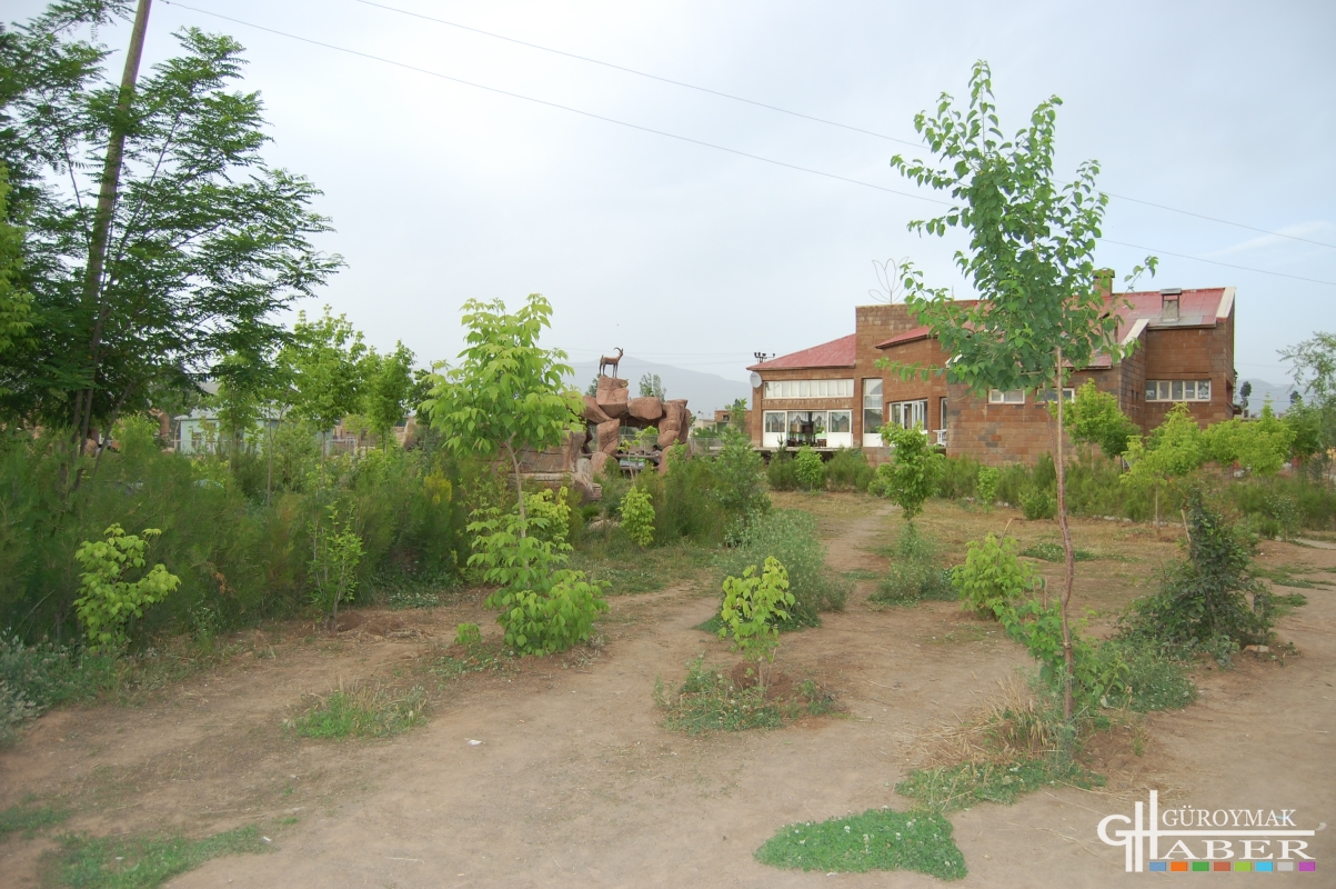 Güroymak çarşı merkez de bulunan şelale parkı resimleri