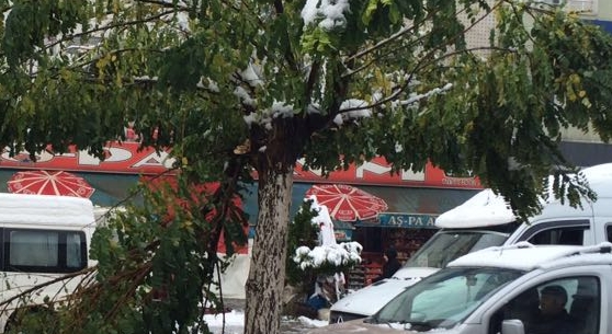 Güroymak'ta yılın ilk karı yağdı