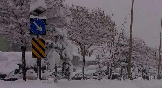 Güroymak'ta yoğun kar yağışı