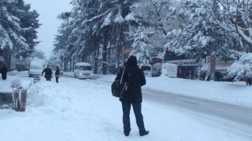 Bitlis, Güroymak, Tatvan ve Mutki'de eğitime ara verildi