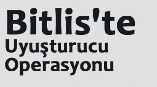 Bitlis'te metamfetamin ve esrar ele geçirildi