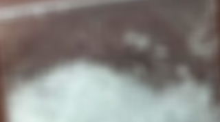 Bitlis Valiliği: Güroymak'ta uyuşturucu operasyonu