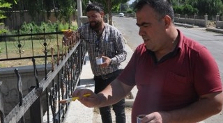 Günkırı Belediyesi, beldedeki anayolların kenar duvarlarını renklendiriyor