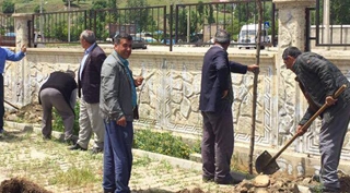 Günkırı Belediyesinden fidan dikme seferberliği