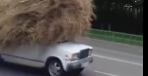 Günün olayı ot yüklü taksi oldu