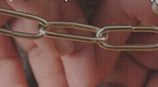 Güroymak Aşağıkolbaşı köyünde 1 kişi tutuklandı