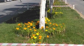 Güroymak Belediyesi tarafından peyzaj çalışmaları