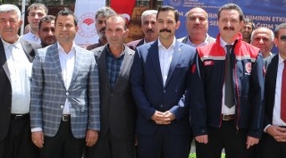Güroymak ilçesinde yüzde 75 hibeli 21 bin fide dağıtıldı