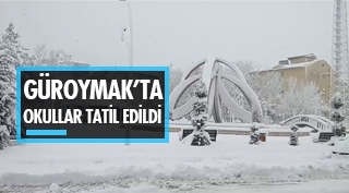 Güroymak merkez ve bağlı köylerde okullar tatil edildi