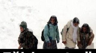 Güroymak'ta 1 gün okullar tatil edildi