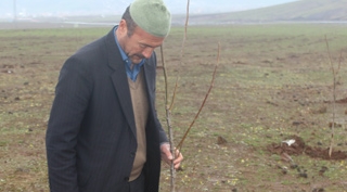 Güroymak’ta 500 dönüme 10 bin ceviz fidesi dikildi