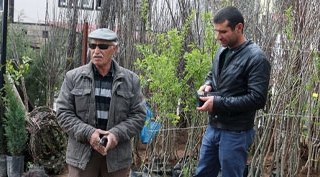 Güroymak'ta fidan satışları başladı
