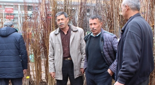 Güroymak'ta fidan satışları başladı