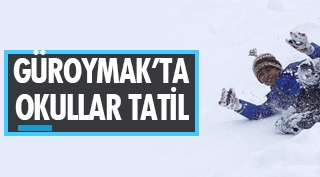 Güroymak'ta kar yağışı nedeniyle okullar tatil edildi