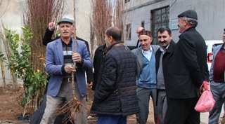 Güroymak'ta meyve fidan satışları başladı