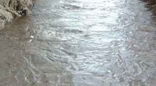 Güroymak'ta sağanak taşkınlara neden oldu