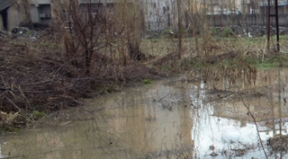 Güroymak’ta sağanak yağış hayatı olumsuz etkiledi