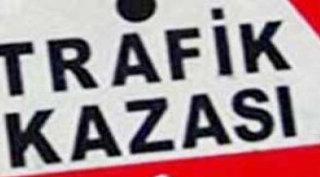 Güroymak'ta trafik kazası 2 kardeşten biri hayatını kaybetti
