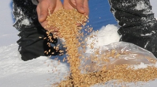 Güroymak'ta yaban hayvanları için doğaya yem bırakıldı