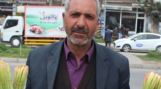 Güroymak’ta yayla muzu satışları başladı