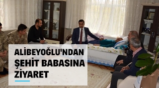 Kaymakam Alibeyoğlu'ndan şehit babasına ziyaret