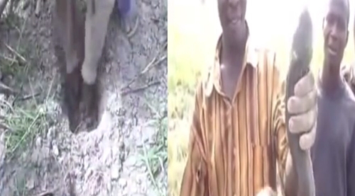 Kuru topraktan canlı balık çıkarttılar!