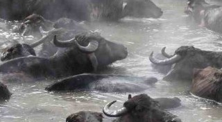 Madak Belgeseli Paris’te En İyi Belgesel Ödülünü Kazandı