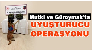 Mutki ve Güroymak'ta uyuşturucu operasyonu