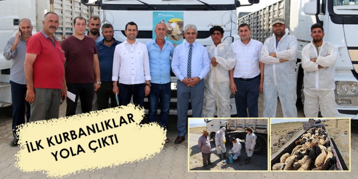 Bitlis’ten ilk kurbanlıklar yola çıktı