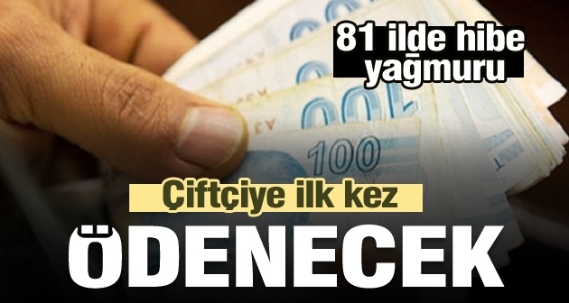 Çiftçinin 2020 yılı destekleri belli oldu!