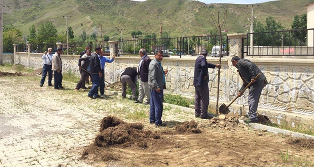 Günkırı Belediyesinden fidan dikme seferberliği