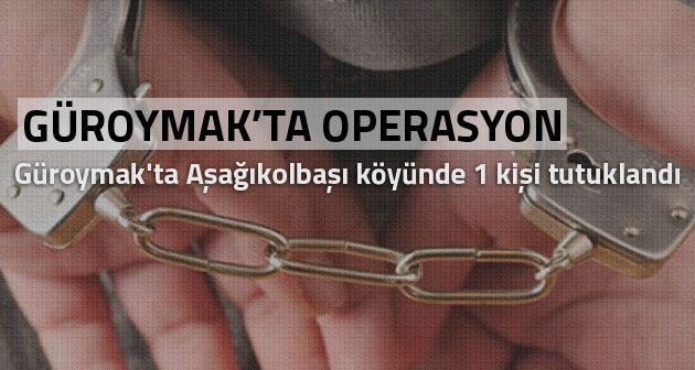 Güroymak Aşağıkolbaşı köyünde 1 kişi tutuklandı