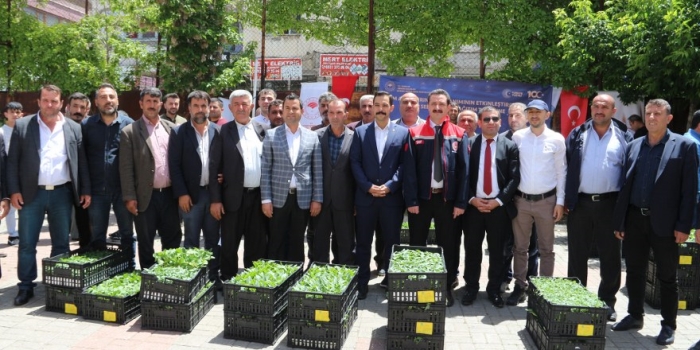 Güroymak ilçesinde yüzde 75 hibeli 21 bin fide dağıtıldı