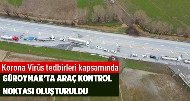 Güroymak Muş sınırında araç kontrol noktası oluşturuldu