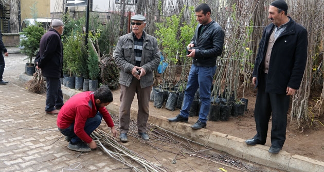 Güroymak'ta fidan satışları başladı