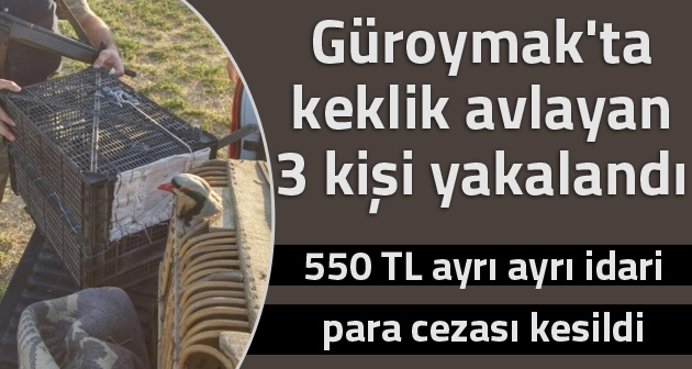 Güroymak'ta keklik avlayan 3 kişi yakalandı