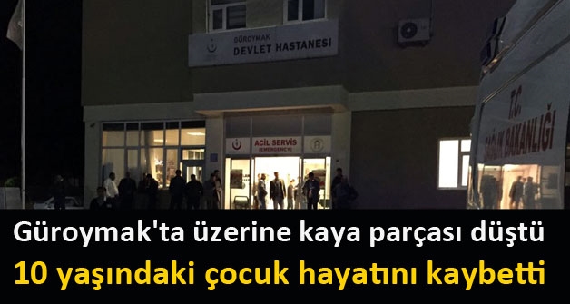 Güroymak'ta üzerine kaya parçası düşen 2 kardeşten biri hayatını kaybetti