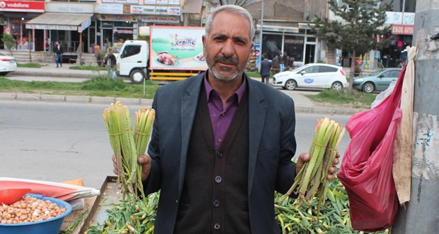 Güroymak’ta yayla muzu satışları başladı