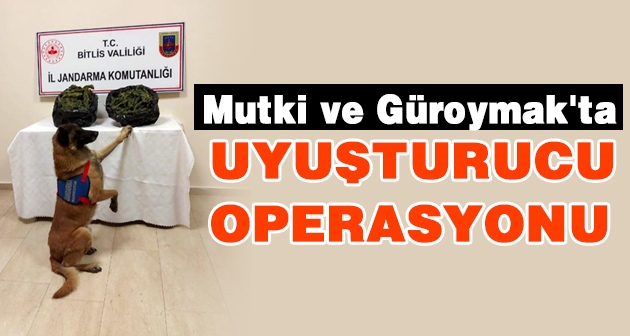 Mutki ve Güroymak'ta uyuşturucu operasyonu