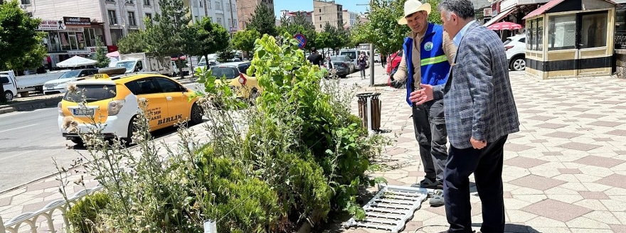Güroymak Belediyesi, Çarşı Merkezinde Peyzaj Çalışmalarına Başladı