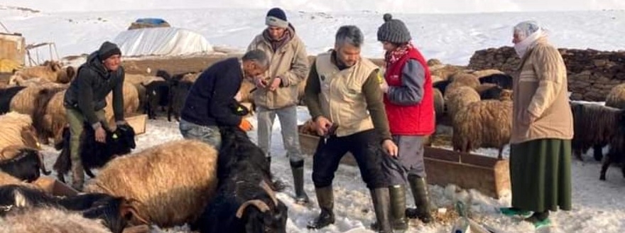 Güroymak'ta hayvanları aşılama çalışması yapıldı