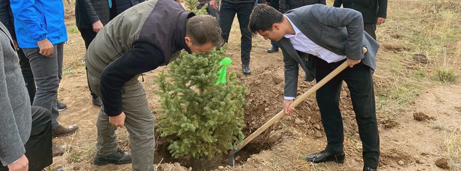 Milli Ağaçlandırma Günü nedeniyle fidan dikimi yapıldı